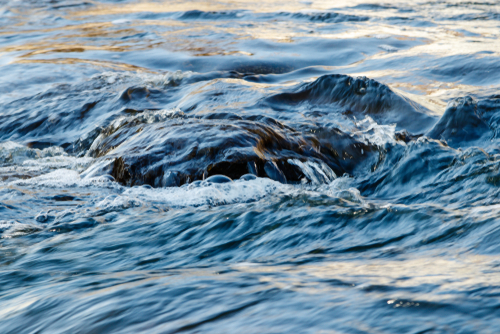 IBN Biotech Lake Treatment
