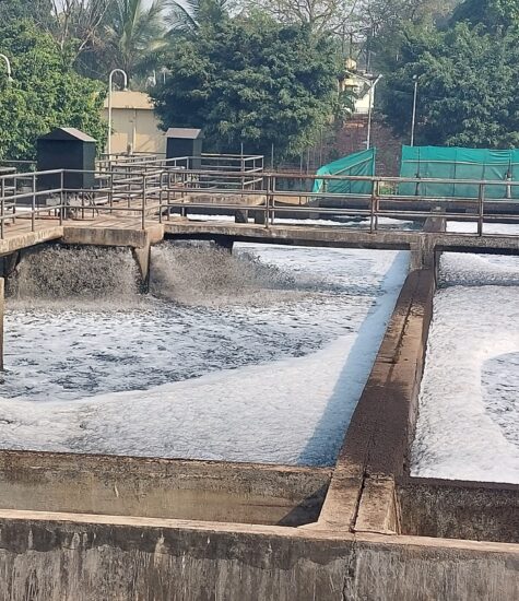 IBN Biotech Dissolved Oxygen Increase