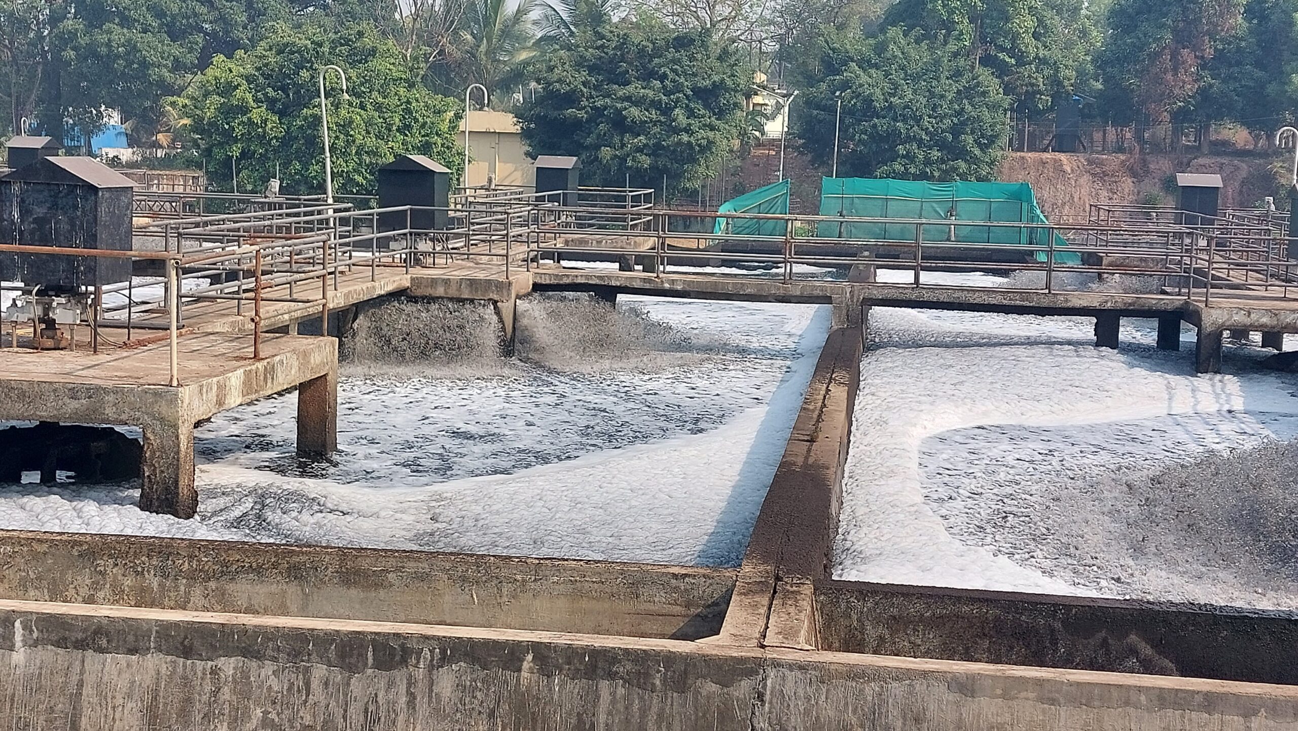 IBN Biotech Dissolved Oxygen Increase