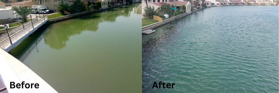 IBN Biotech Algae Control