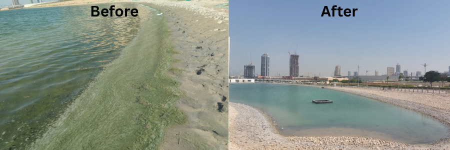 IBN Biotech Sludge Control