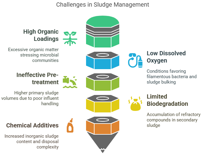 IBN Biotech Wastewater Treatment Sludge Management