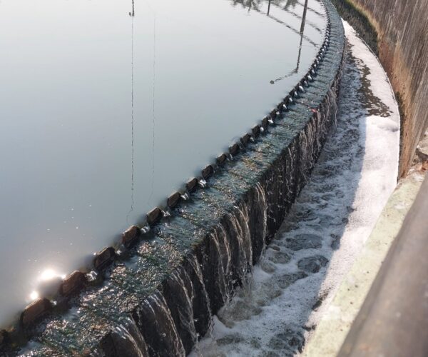 IBN Biotech Municipal Wastewater Treatment: Unlocking Efficiency with Bio-Catalytic Technology