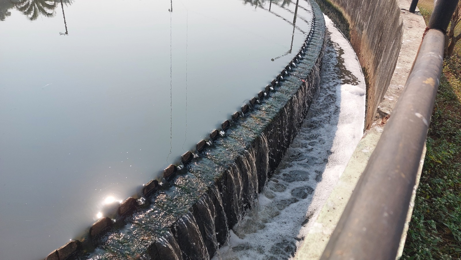 IBN Biotech Municipal Wastewater Treatment: Unlocking Efficiency with Bio-Catalytic Technology