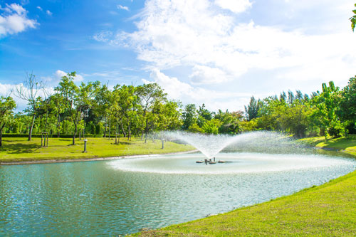 IBN Biotech Fountain Lake Management