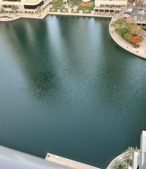 IBN Biotech Lake Management in Dubai