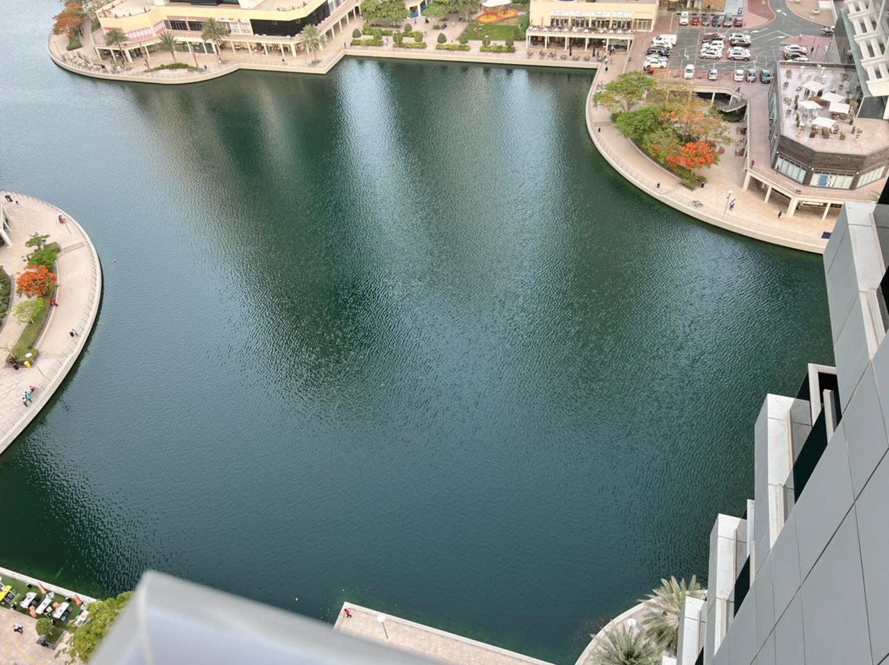 IBN Biotech Lake Management in Dubai
