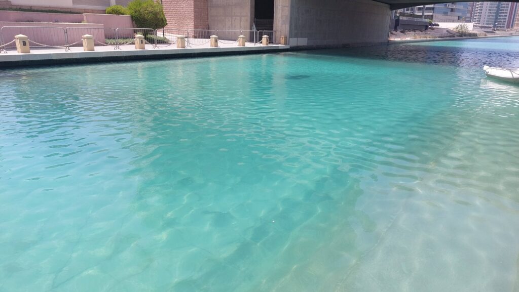 IBN Biotech Lake Treatment After