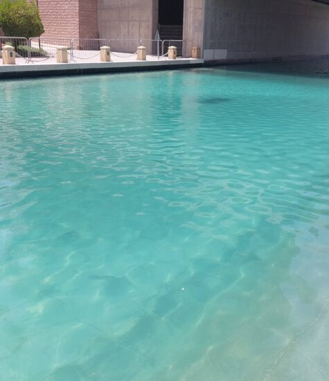 IBN Biotech Lake Treatment After