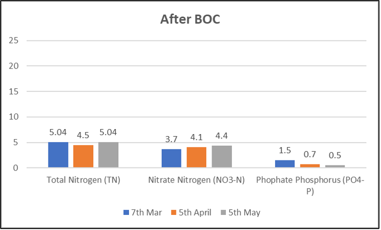 IBN Biotech Lake Results After Treatment in Dubai