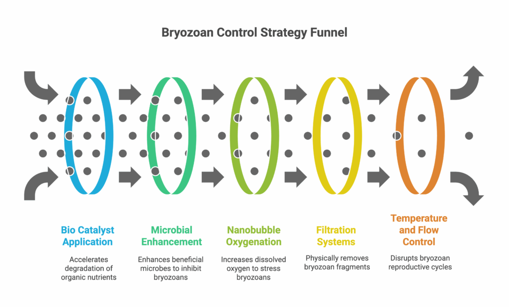 IBN Biotech Bryozoans Solutions